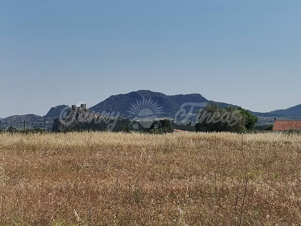 Helårsgrund i Sax, Alicante - foto 4